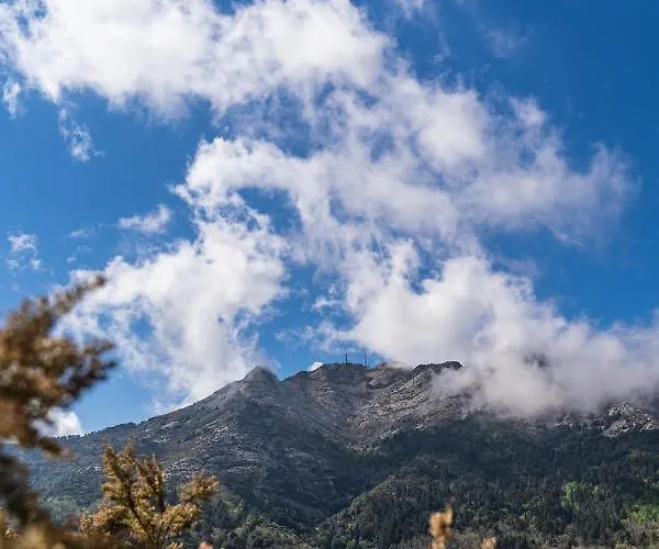 شقة A Casa Di Tony - Goelba